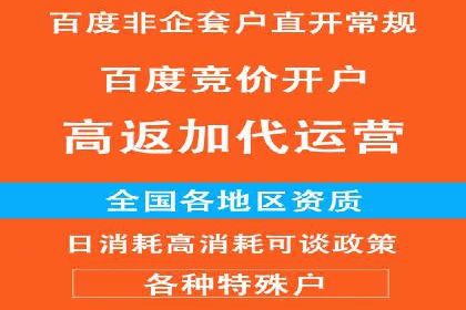 百度推广成功案例：关键词排名快速提升